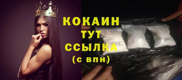 эйфоретик Арсеньев